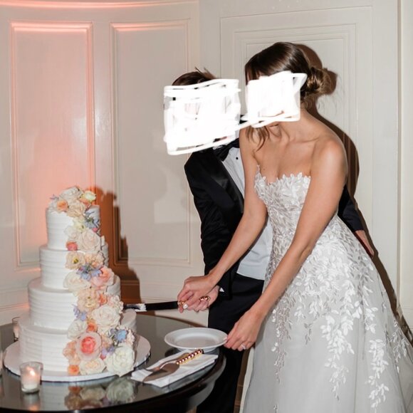 Mira Zwillinger, Charla Dress and Matching Veil, Size 6 - Picture 3 of 8